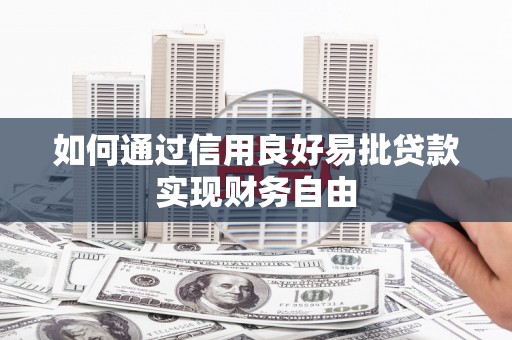 大里如何通过信用良好易批贷款实现财务自由