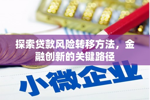 大里探索贷款风险转移方法，金融创新的关键路径
