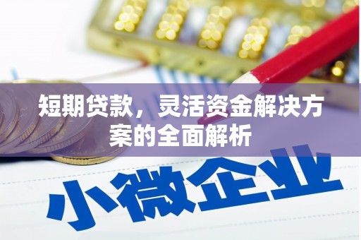 大里短期贷款，灵活资金解决方案的全面解析