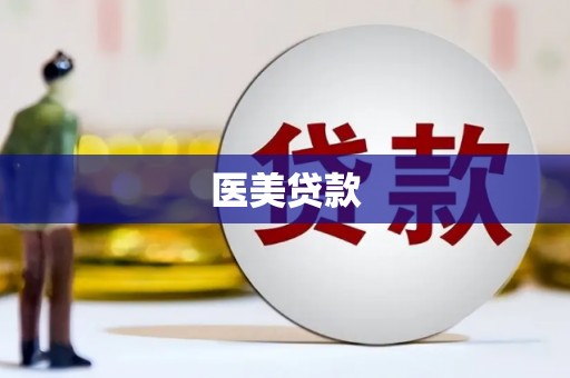 大里医美贷款