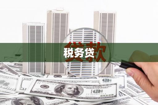 大里税务贷