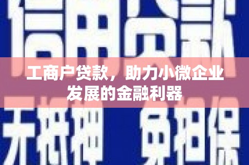 大里工商户贷款，助力小微企业发展的金融利器
