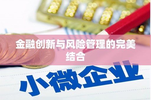 大里金融创新与风险管理的完美结合