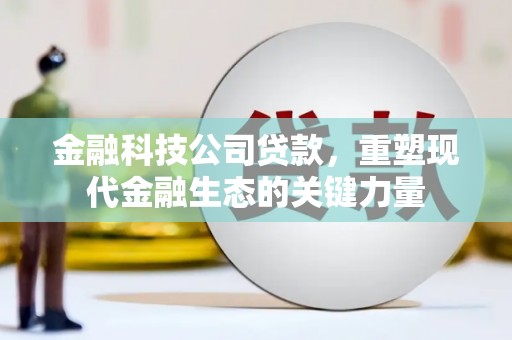 大里金融科技公司贷款，重塑现代金融生态的关键力量