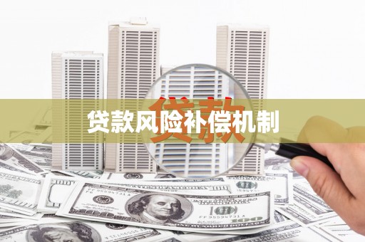 大里贷款风险补偿机制