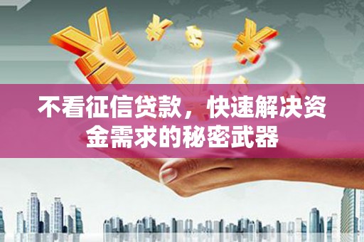大里不看征信贷款，快速解决资金需求的秘密武器