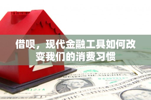 大里借呗，现代金融工具如何改变我们的消费习惯