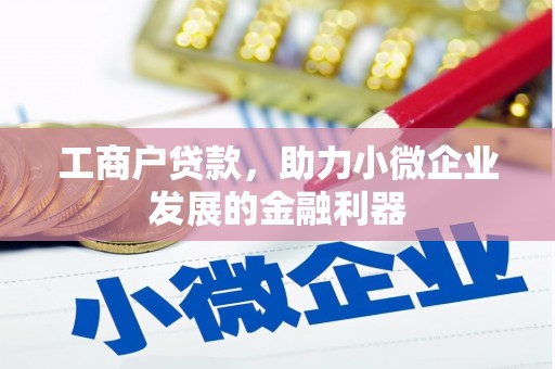 大里工商户贷款，助力小微企业发展的金融利器