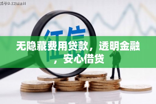 大里无隐藏费用贷款，透明金融，安心借贷