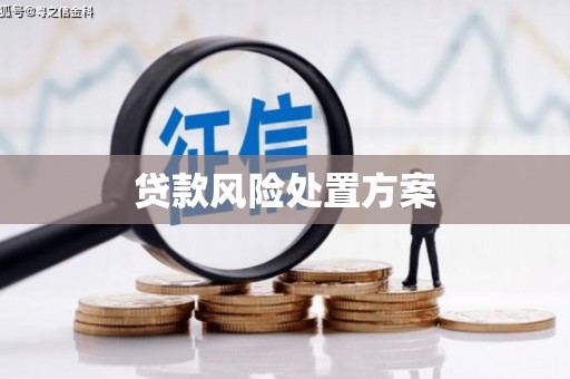 大里贷款风险处置方案