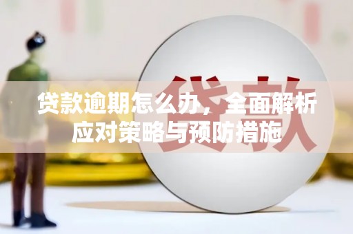 大里贷款逾期怎么办，全面解析应对策略与预防措施