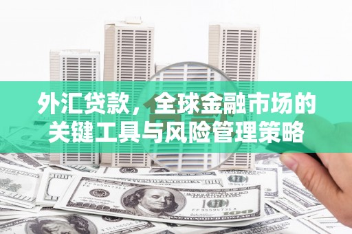大里外汇贷款，全球金融市场的关键工具与风险管理策略