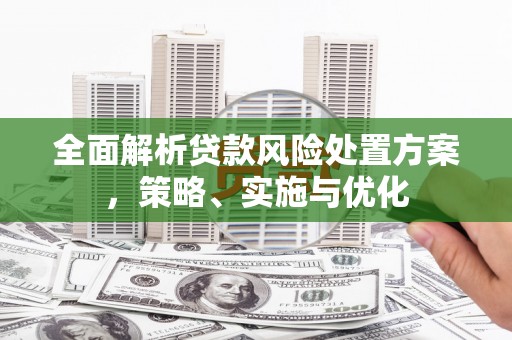 大里全面解析贷款风险处置方案，策略、实施与优化