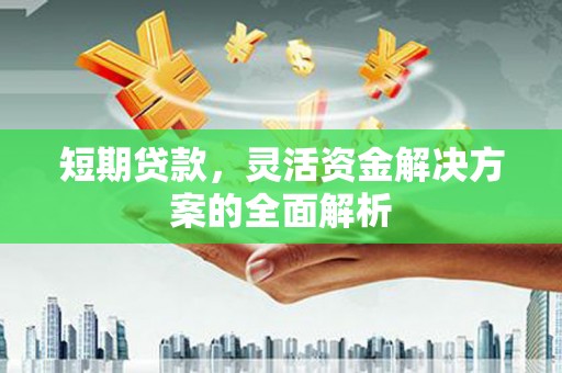 大里短期贷款，灵活资金解决方案的全面解析