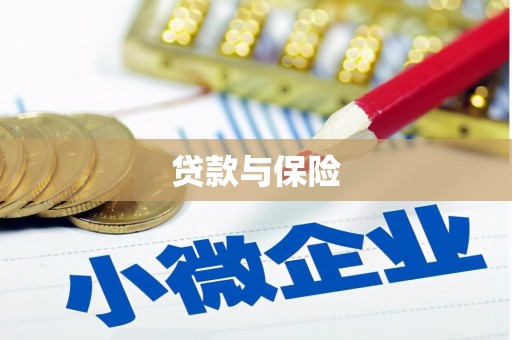 大里贷款与保险