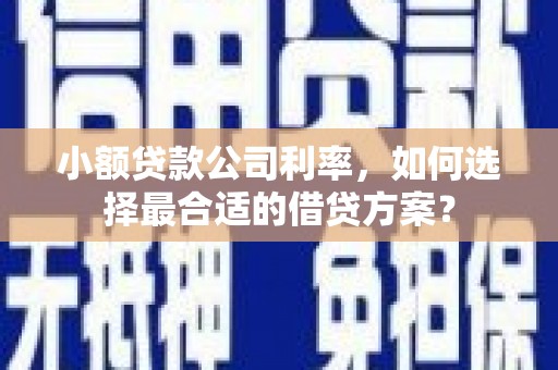 大里小额贷款公司利率，如何选择最合适的借贷方案？