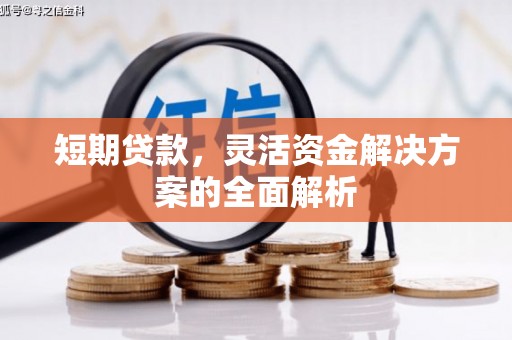 大里短期贷款，灵活资金解决方案的全面解析