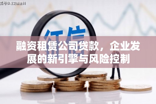 大里融资租赁公司贷款，企业发展的新引擎与风险控制