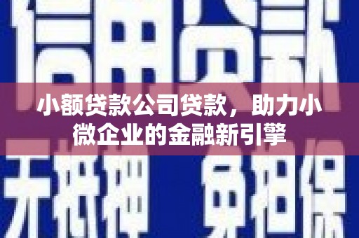 大里小额贷款公司贷款，助力小微企业的金融新引擎
