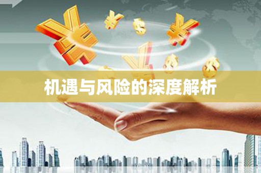 大里机遇与风险的深度解析