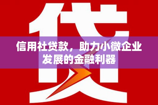 大里信用社贷款，助力小微企业发展的金融利器