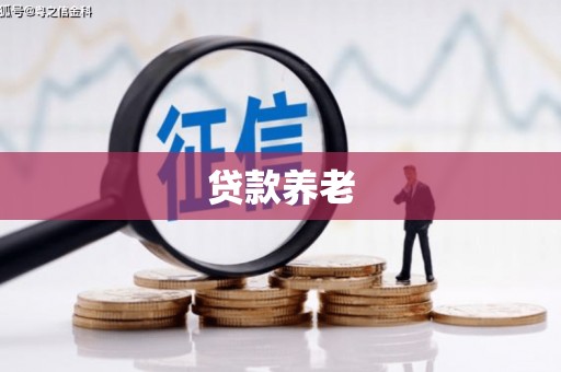 大里贷款养老