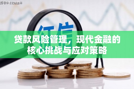 大里贷款风险管理，现代金融的核心挑战与应对策略