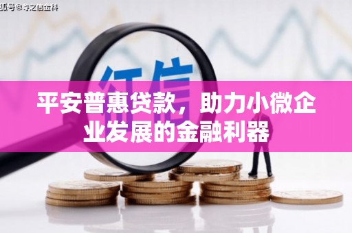 大里平安普惠贷款，助力小微企业发展的金融利器