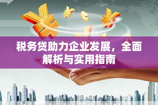 大里税务贷助力企业发展，全面解析与实用指南