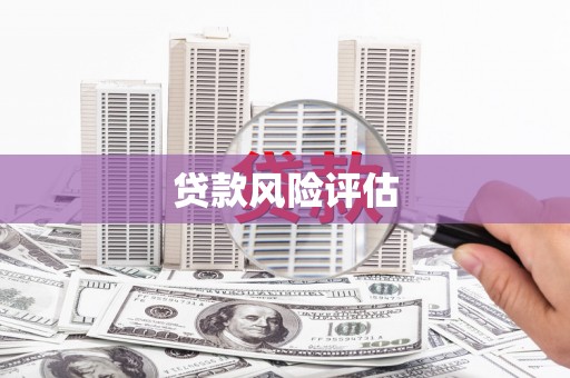 大里贷款风险评估