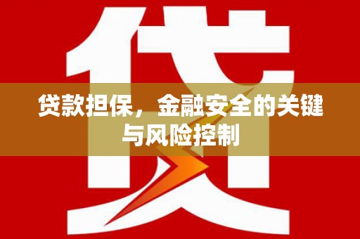 大里贷款担保，金融安全的关键与风险控制