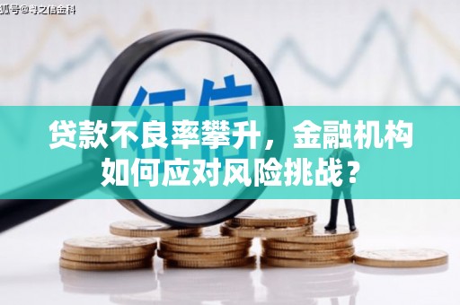大里贷款不良率攀升，金融机构如何应对风险挑战？