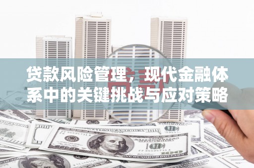 大里贷款风险管理，现代金融体系中的关键挑战与应对策略