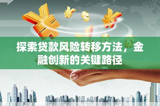 大里探索贷款风险转移方法，金融创新的关键路径