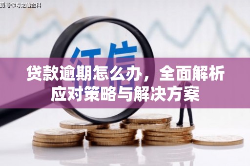 大里贷款逾期怎么办，全面解析应对策略与解决方案