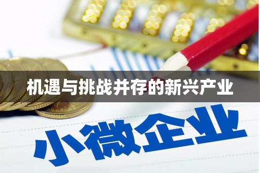 大里机遇与挑战并存的新兴产业