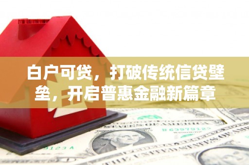 大里白户可贷，打破传统信贷壁垒，开启普惠金融新篇章