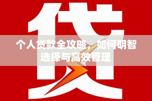 大里个人贷款全攻略，如何明智选择与高效管理