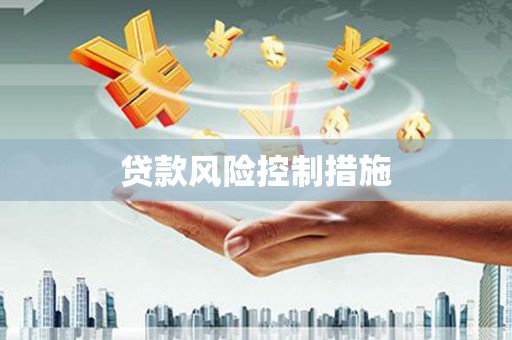 大里贷款风险控制措施