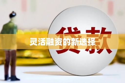 大里灵活融资的新选择