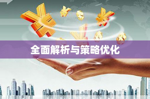 大里全面解析与策略优化