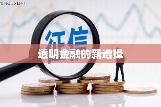 大里透明金融的新选择