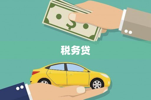 大里税务贷