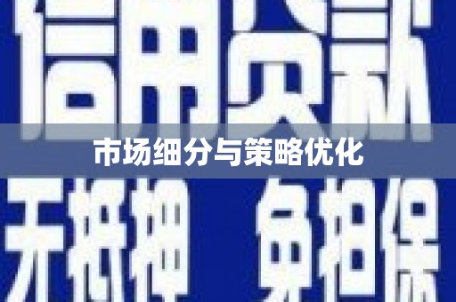 大里市场细分与策略优化