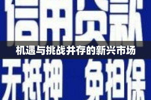 大里机遇与挑战并存的新兴市场