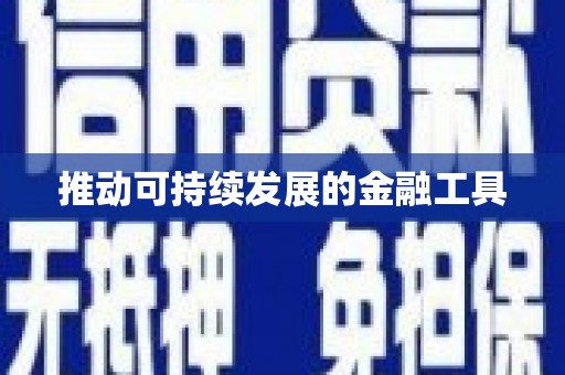 大里推动可持续发展的金融工具