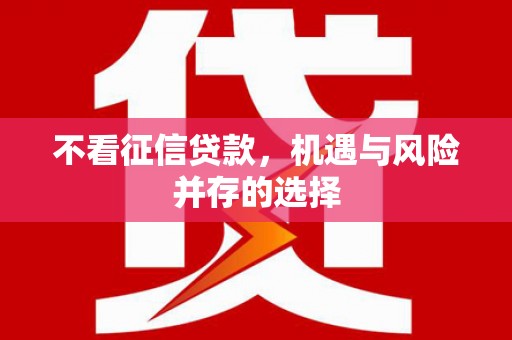 大里不看征信贷款，机遇与风险并存的选择