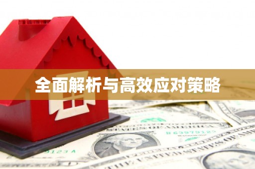 大里全面解析与高效应对策略