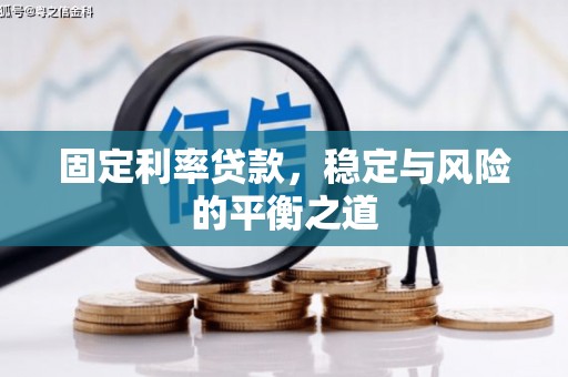 大里固定利率贷款，稳定与风险的平衡之道